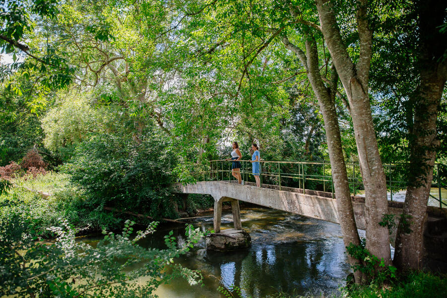 Spectacle « Au pied de l’arbre »